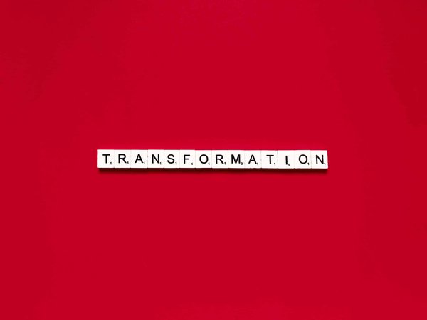 What Are the Key Strategies for Transforming a Spare Room into a Multi-Purpose Space That Meets Various Family Needs?